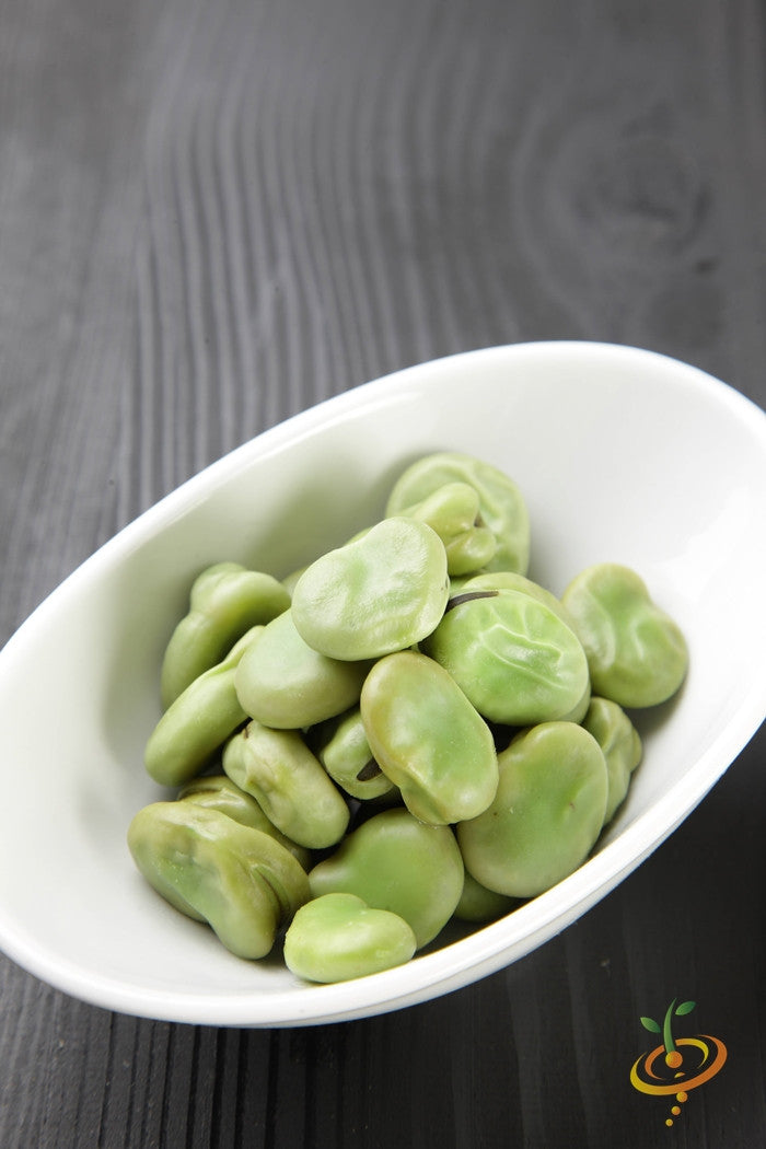 Bean (Lima)- Thorogreen.