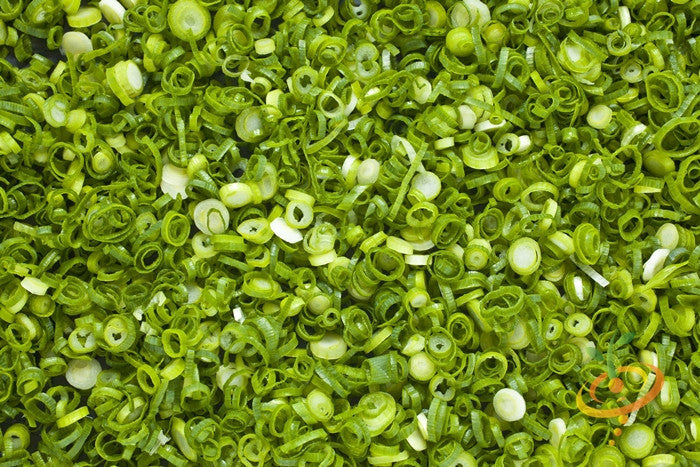 Close-up of chopped Tokyo Long White scallion onions