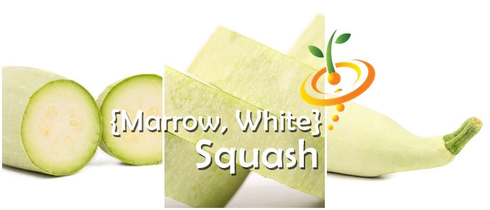 White seeds for summer squash (Marrow) from SeedsNow, shown in a close-up image with seed packets and fresh squash.