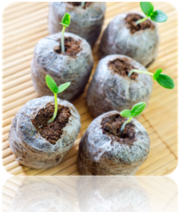 Seed Starting Soil Pellets