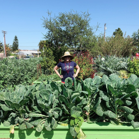 Meet @HoneyGirlGrows! Beekeeper, and Garden Designer Stays Focused on Sustainability & Growing Organically