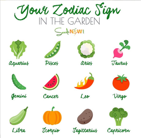 YOUR GARDEN ZODIAC SIGNS