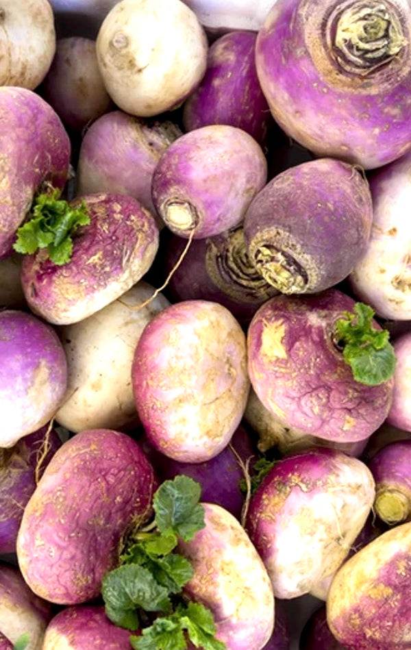 Shop all Turnip Seeds | Premium Quality seeds for Organic Gardens
