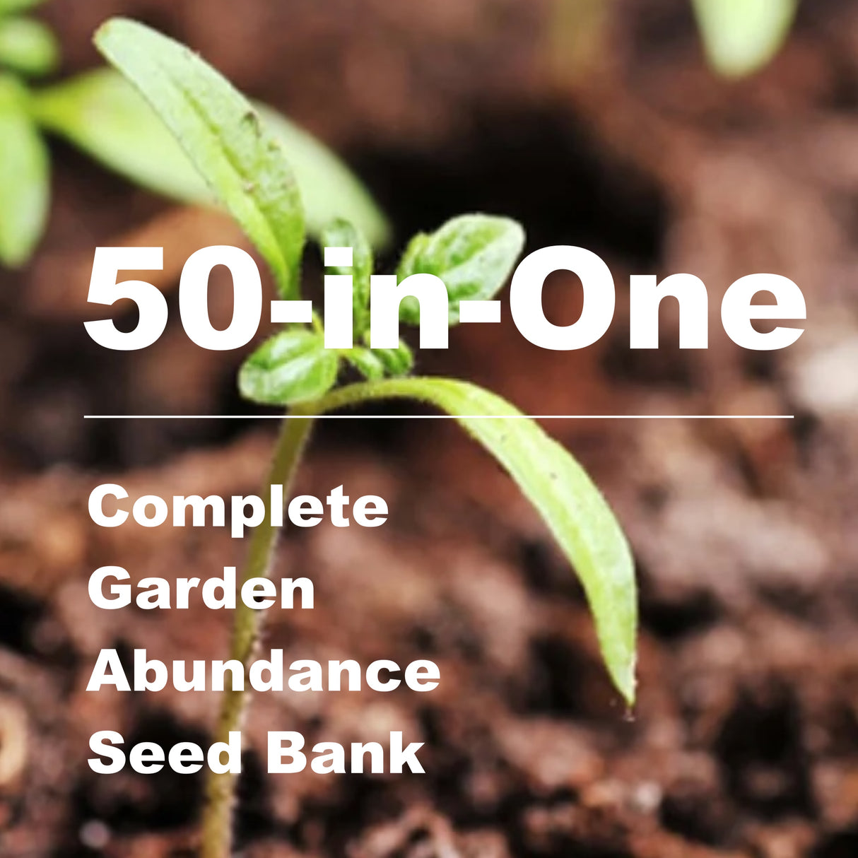 *New!* 50-in-One Complete Garden Abundance Seed Bank w/Seed Storage Vault