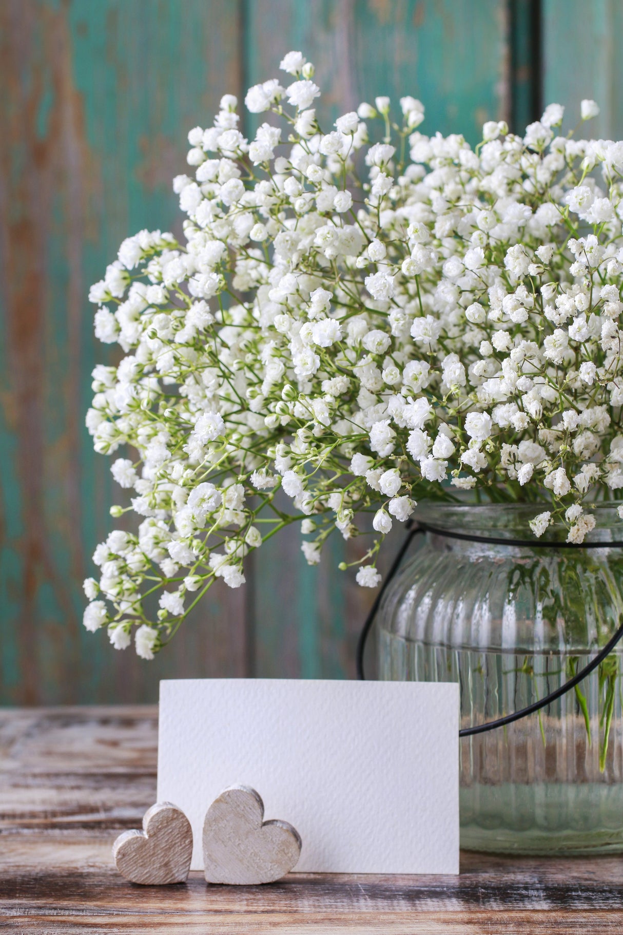 Baby's Breath (Gypsophila) Flowers