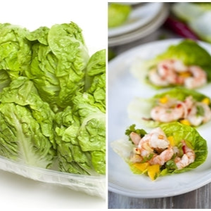 Image of a little gem lettuce seedling from the free all-in-one seed starter kit by free, showing fresh green lettuce leaves.