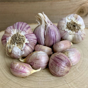 *NEW!* All-in-One Organic Garlic Variety Pack