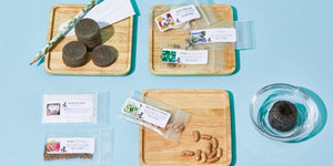The Seed Club (BASIC PLAN) 3 seed packs/month plus essentials