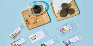 The Seed Club (BASIC PLAN) 3 seed packs/month plus essentials
