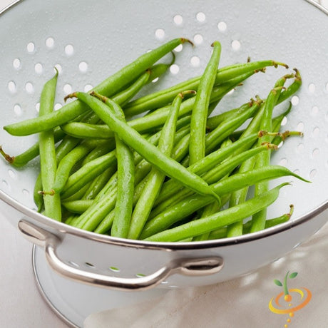 Bean, Pole - Kentucky Wonder, White - SeedsNow.com