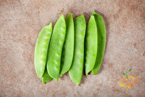 Pea - Oregon Sugar Pod.