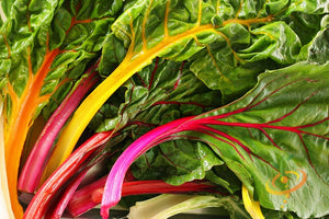 Swiss Chard - Canary Yellow - SeedsNow.com