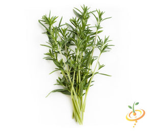 Summer Savory.