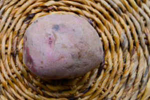 Potato (Mid-Season) - Dark Red Norland (ORGANIC) - SeedsNow.com